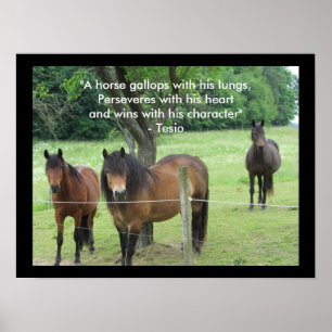 Motiverende spreuk met paarden poster