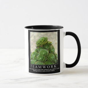 Motivering: TEAMWORK Mok