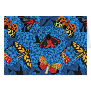 Motivering voor blauwe hydrangea