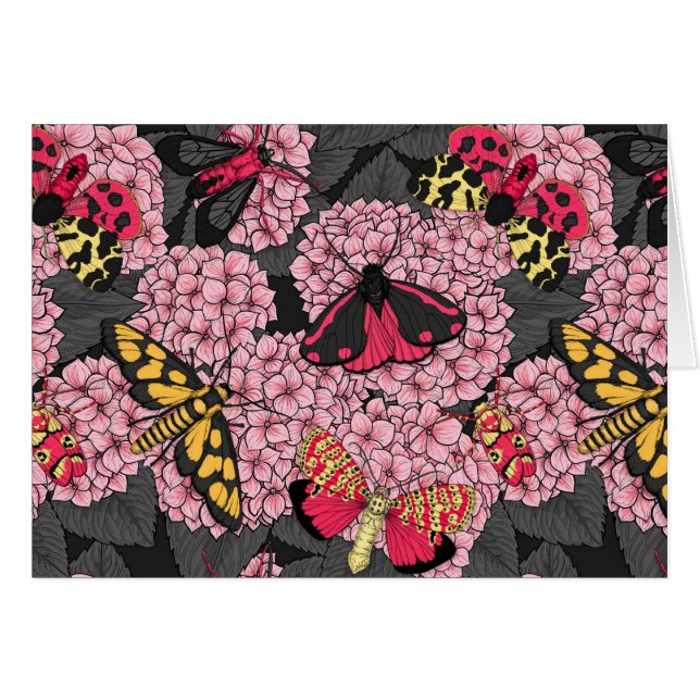 Motivering voor roze hydrangea (Voorkant Horizontaal)