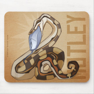 Motley BCI Mousepad Muismat