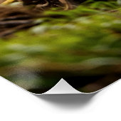 Moto-xing - Motocross-racisme Perfect Poster (Hoek)