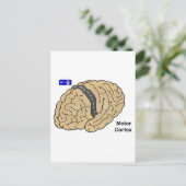 Motor cortex briefkaart (Staand voorkant)