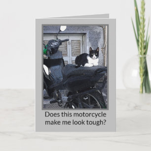 MOTORFIETS KAT /HUMOR NOTITIEKAARTJE