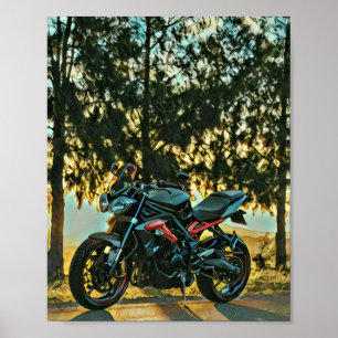 Motorfietscadeau Poster