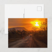 Motorfietsen in zonsondergang briefkaart (Voorkant / Achterkant)