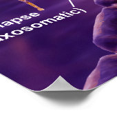 Motorneuronen Poster (Hoek)