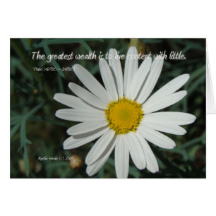 Mots célèbres : Richesse - White Daisy Card Series