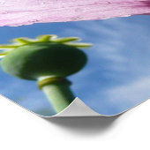 Mots d'encouragement Poster Serenity (Coin)