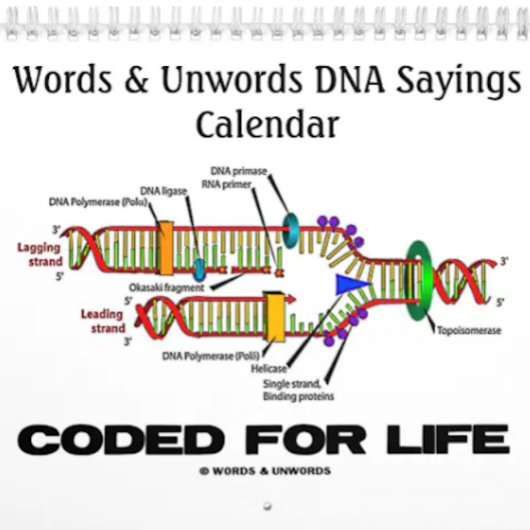 Mots et mots clés DNA Sayings 2016 Calendrier