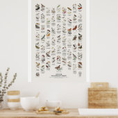 Motten - Naturalist's Library Poster (Keuken)