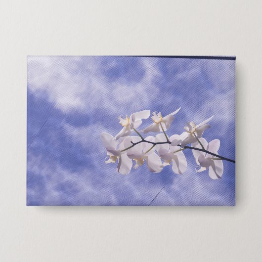 Mottenorchidee Button (Voorkant)