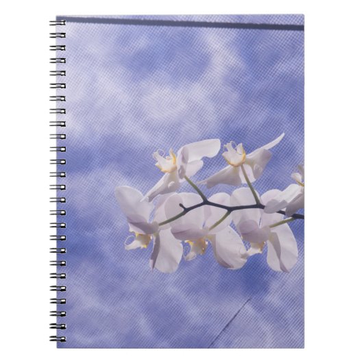 Mottenorchidee Notitieboek (Voorkant)