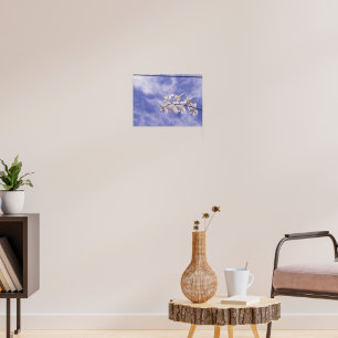 Mottenorchidee Poster