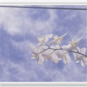 Mottenorchidee Sticker (Voorkant)