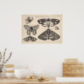  mottenvlinder snijkunst afdrukken (65) poster (Keuken)
