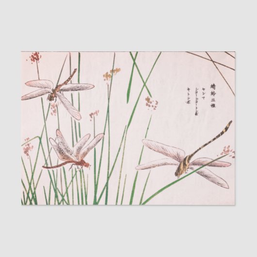 MOUCHE de DRAGON AVEC le papier de soie de soie (Recto)