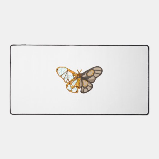 Mouche papillon papillon mouche insecte (Recto)