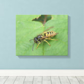 Mouche volante sur une impression sur toile de feu (Insitu (Plancher de Bois))