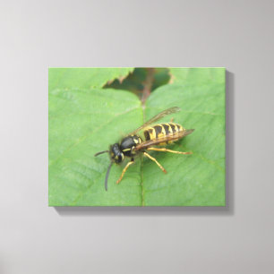 Mouche volante sur une impression sur toile de feu