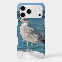 Mouette au bord de la mer Coque iPhone Oiseau