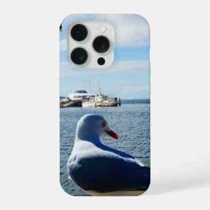 Mouette, bateaux et océan,