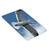 Mouette blanche volant Flexi Magnet (Côté Droit)