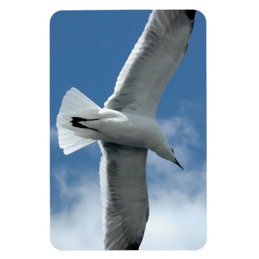 Mouette blanche volant Flexi Magnet (Vertical)