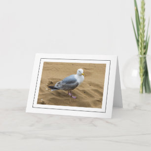 Mouette de mer sur une carte de voeux de plage de