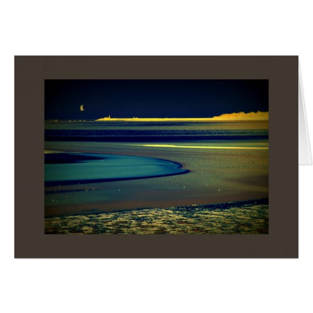 Mouette en bord de mer (Devant horizontal)