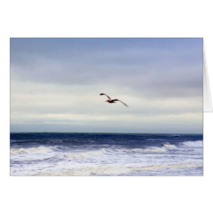 Mouette En Violet
