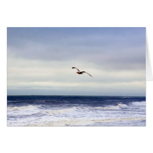 Mouette En Violet (Devant horizontal)