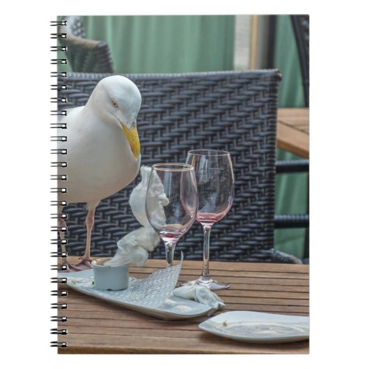Mouette et carnet vide en verre (Devant)