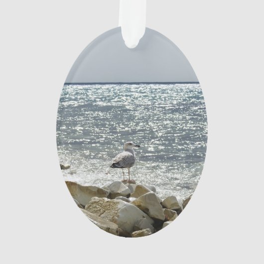 Mouette et mer (dos)