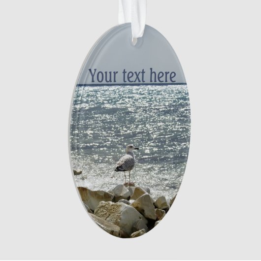 Mouette et mer (devant)