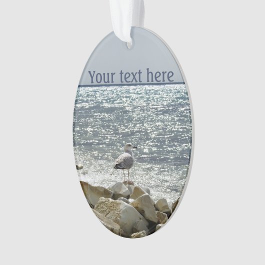 Mouette et mer (devant)