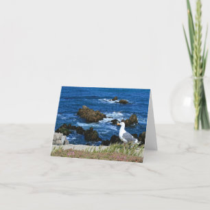 Mouette marine sur la côte du Pacifique, carte à b