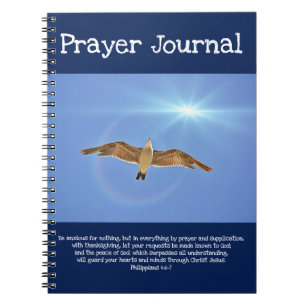 Mouette pilotant au soleil le journal de prière