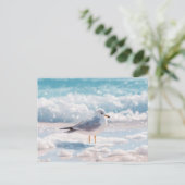 Mouette sur la carte postale d'art côtier de la pl (Debout devant)