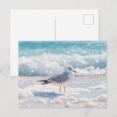 Mouette sur la carte postale d'art côtier de la pl (Devant / Derrière)