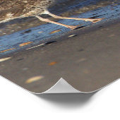 Mouette sur la plage avec affiche d'aviron (Coin)