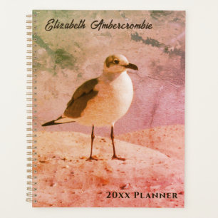 Mouette sur la plage Planificateur annuel