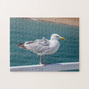 Mouette sur le puzzle des rails