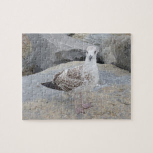 Mouette sur rochers Jigsaw Puzzle