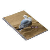 Mouette sur un carnet de plage (Côté Droit)