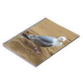 Mouette sur un carnet de plage (Côté gauche)