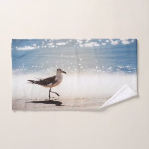 Mouette sur Virginia Beach