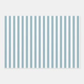 Mouettes à l'ensemble de papier d'enveloppement de (Devant 3)