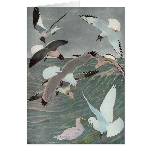 Mouettes au-dessus des vagues océaniques par Louis (Devant)