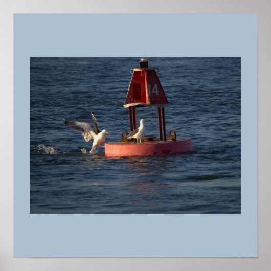 Mouettes avec affiche de bouée (Devant)